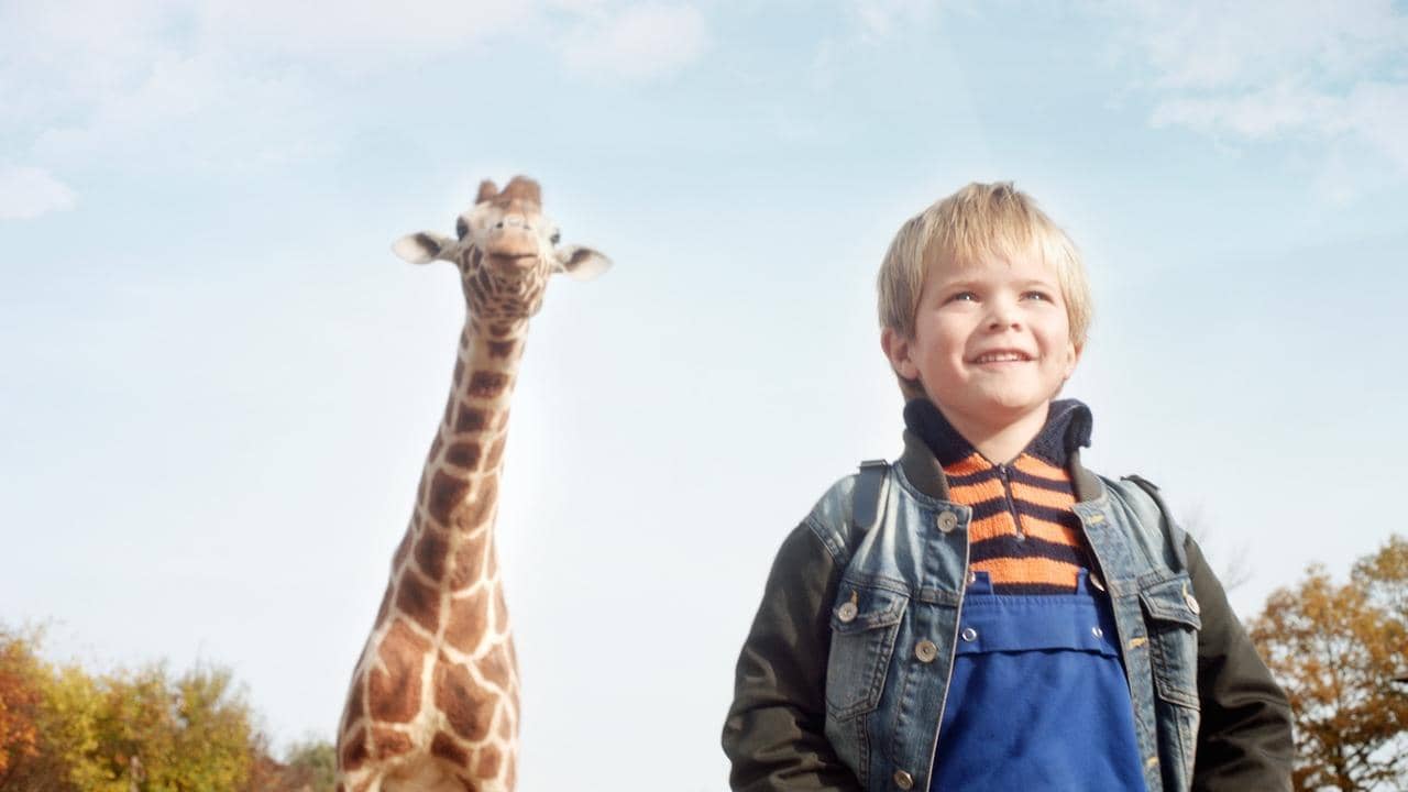 My Giraffe backdrop
