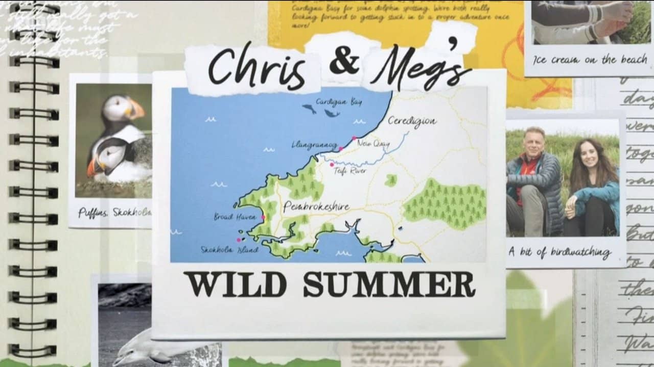 Chris and Meg's Wild Summer backdrop