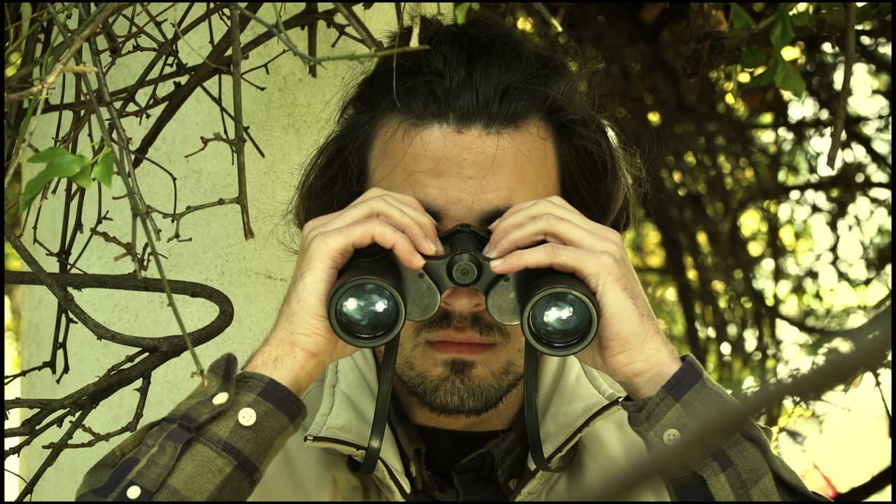 The Birdwatcher backdrop