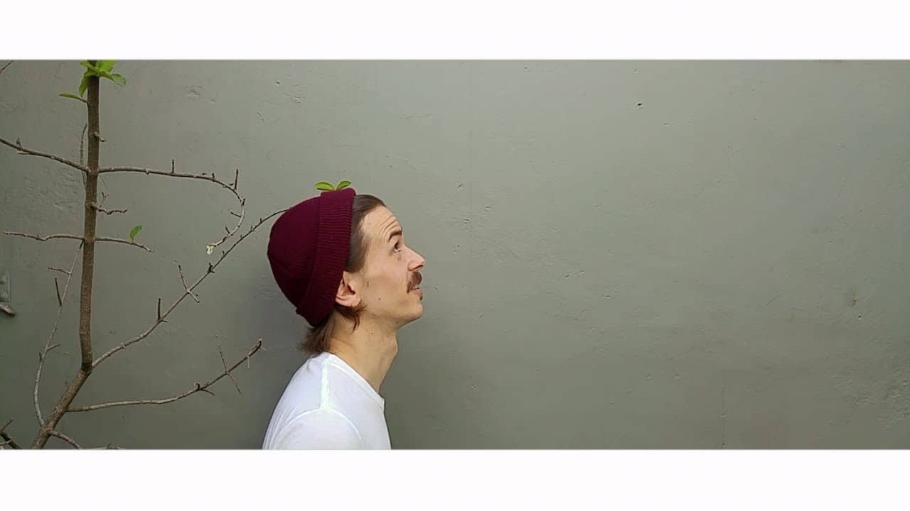 True Minimalist Travel backdrop