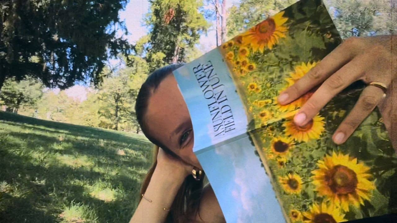 A Sunflower Field in June backdrop