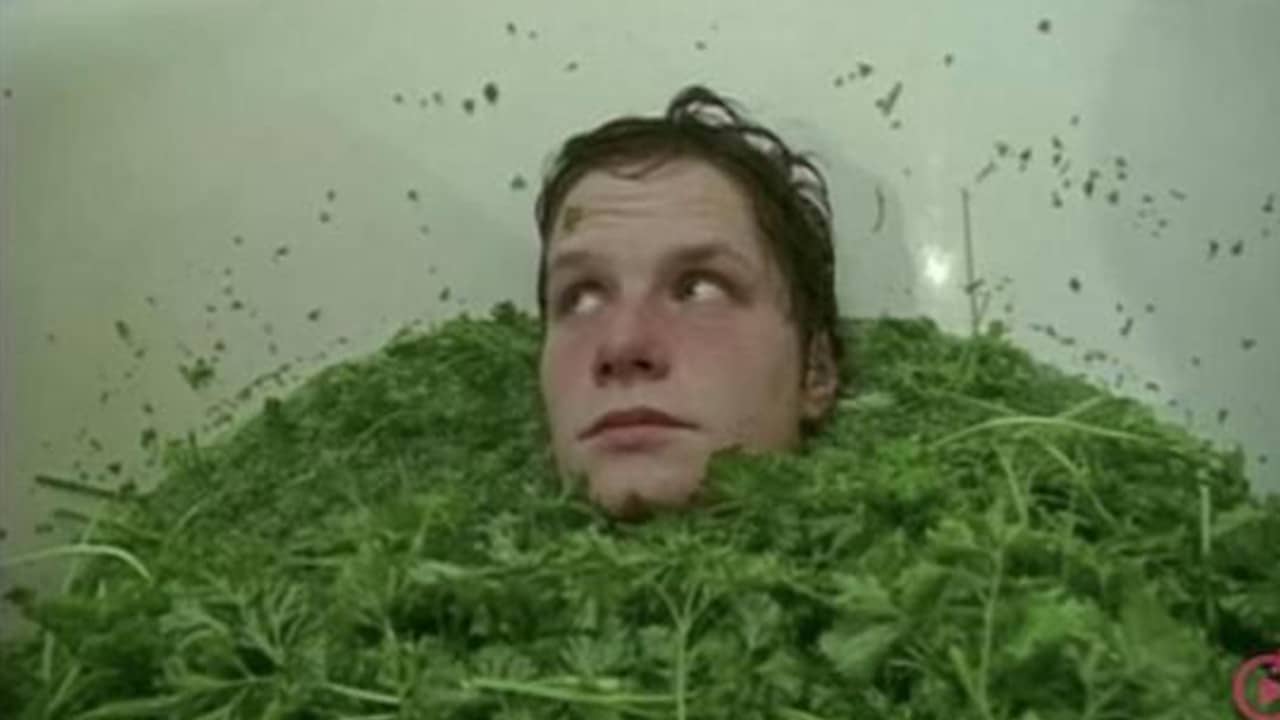 Parsley Days backdrop