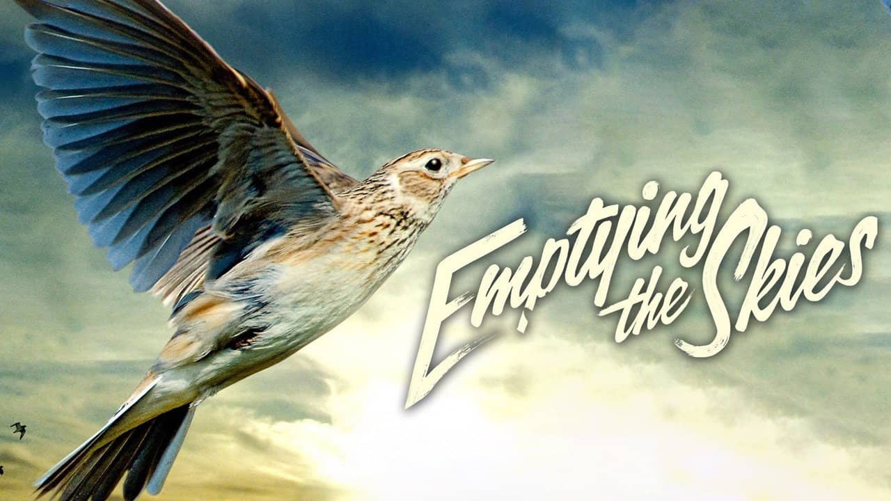 Emptying the Skies backdrop