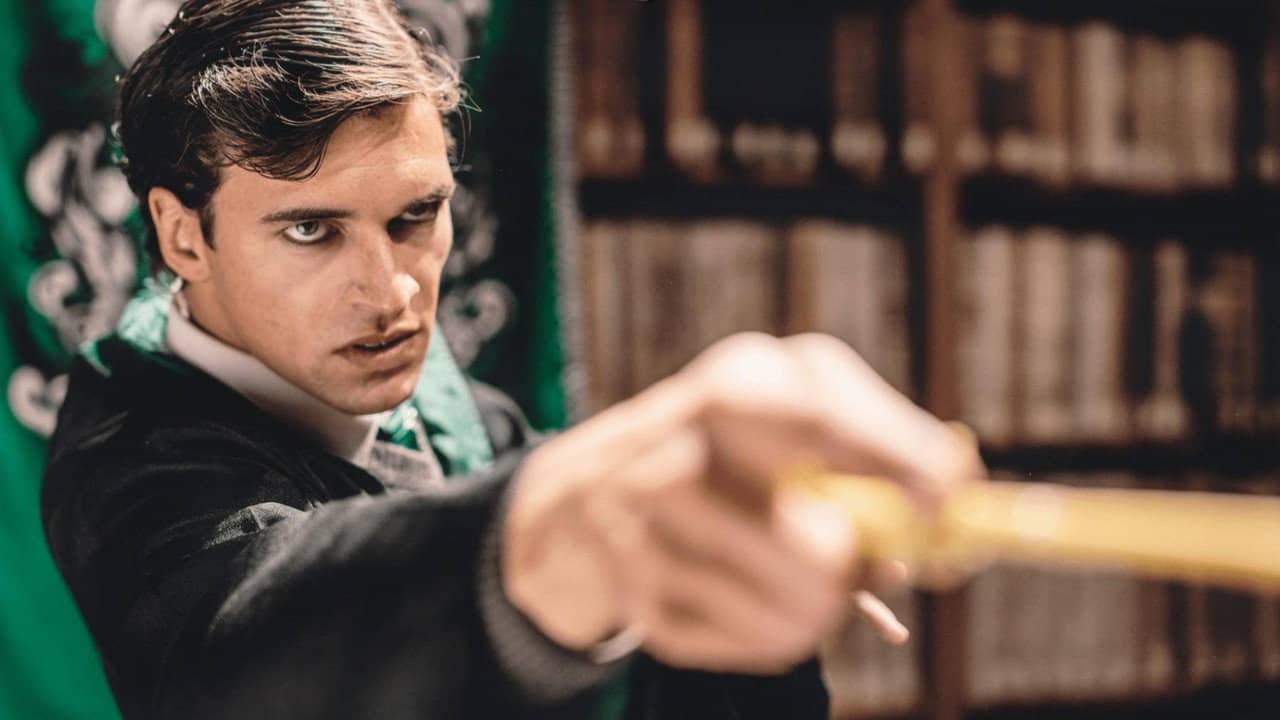 Voldemort: Origins of the Heir backdrop