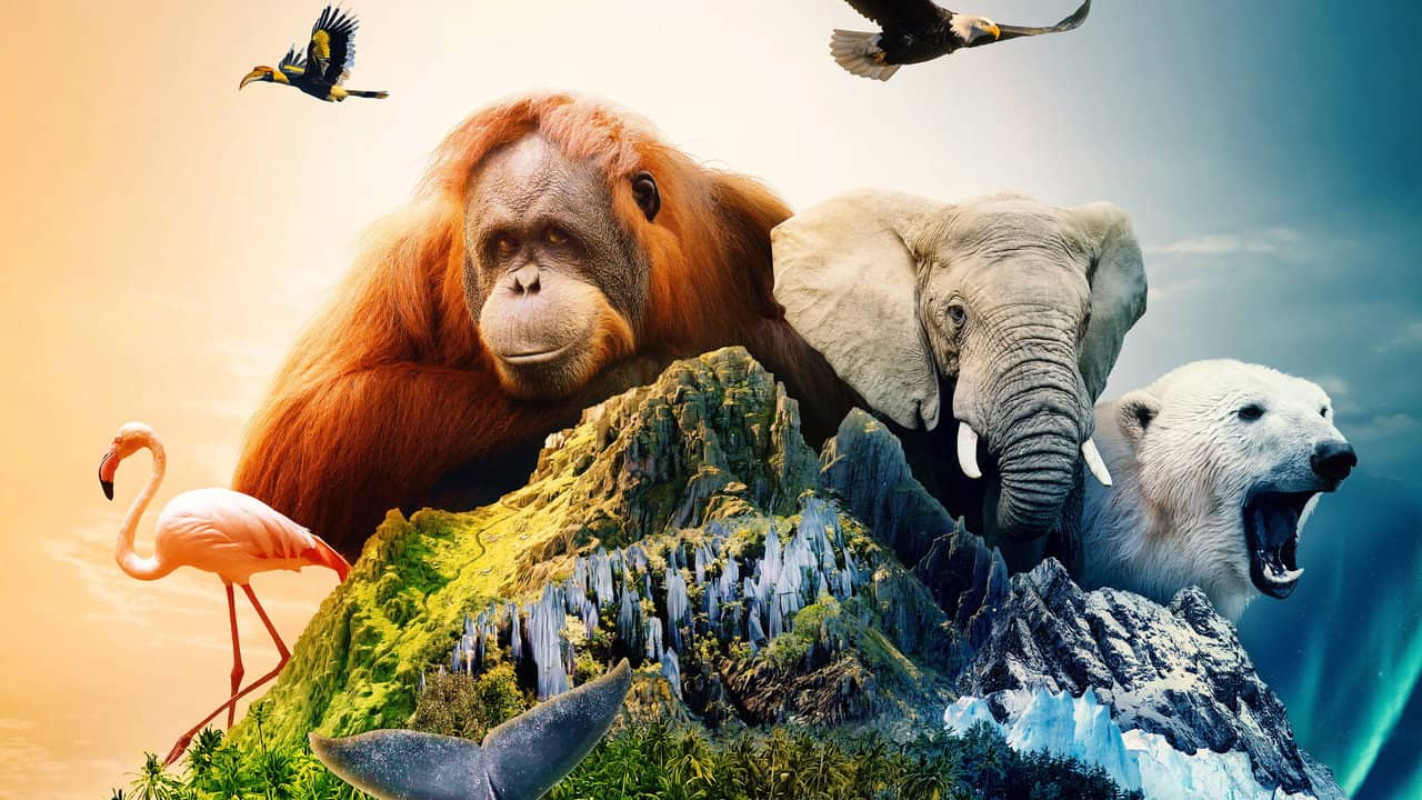 Islands: Nature's Wild Laboratories backdrop
