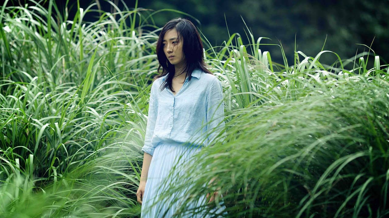 Forêt Debussy backdrop