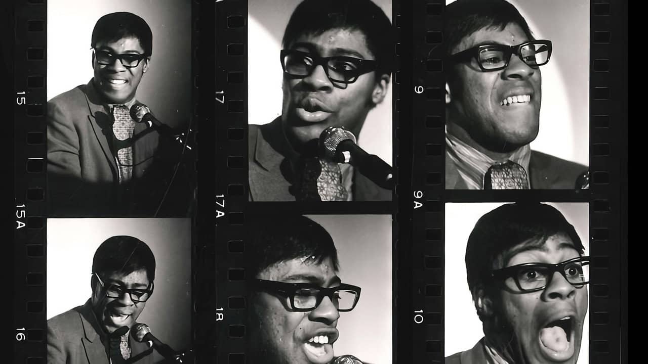 Don Lewis and The Live Electronic Orchestra backdrop