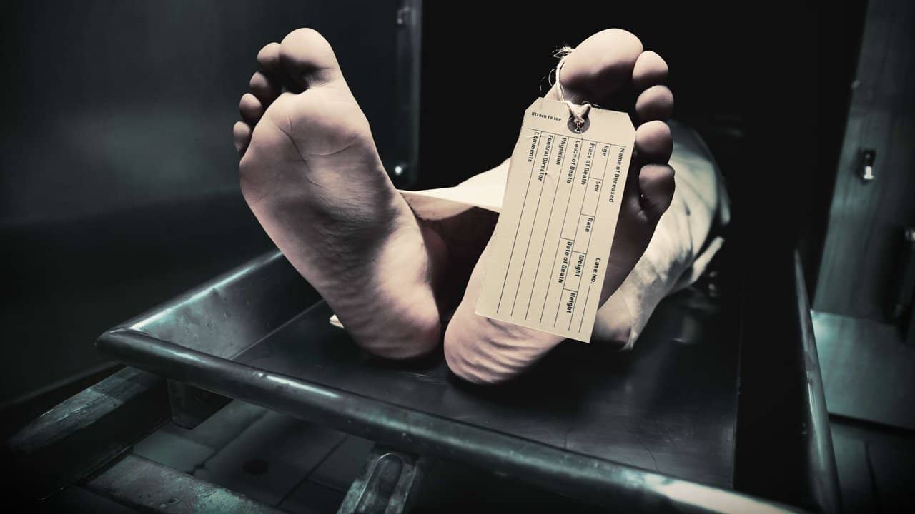 Secrets of the Morgue backdrop