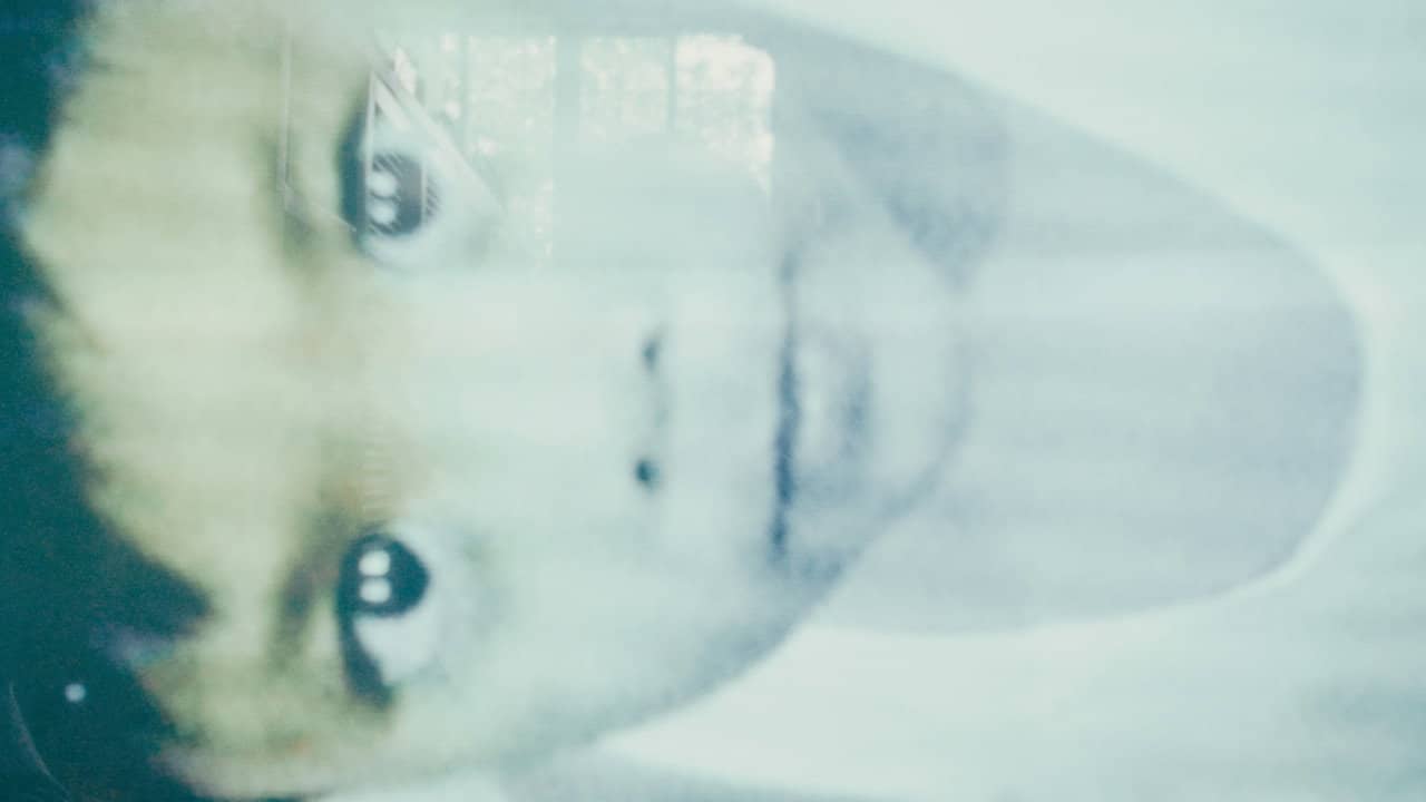 2010 backdrop