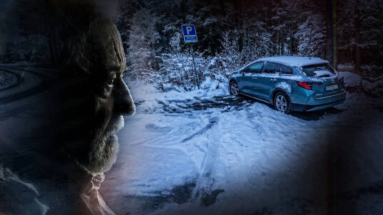 GW:s mord – Taximordet i Hjälstaviken backdrop