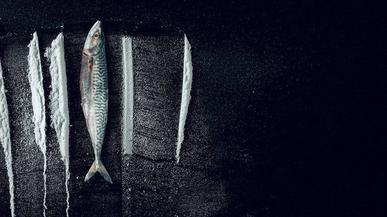Turn of the Tide: The Surreal Story of Rabo de Peixe backdrop