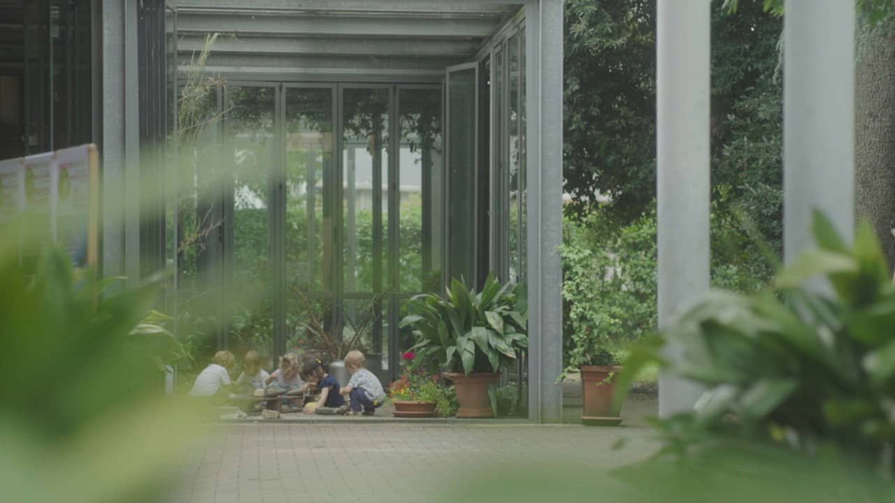 Nurseries, raids on babies backdrop