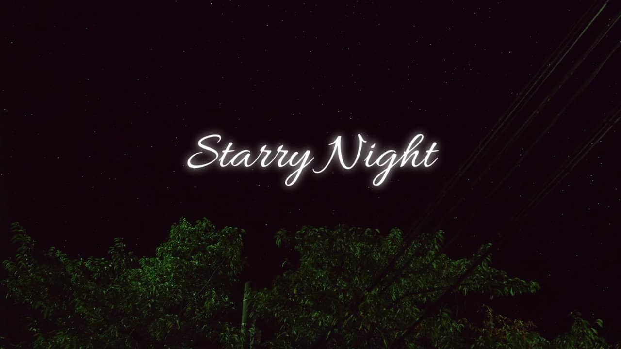 Starry Night backdrop