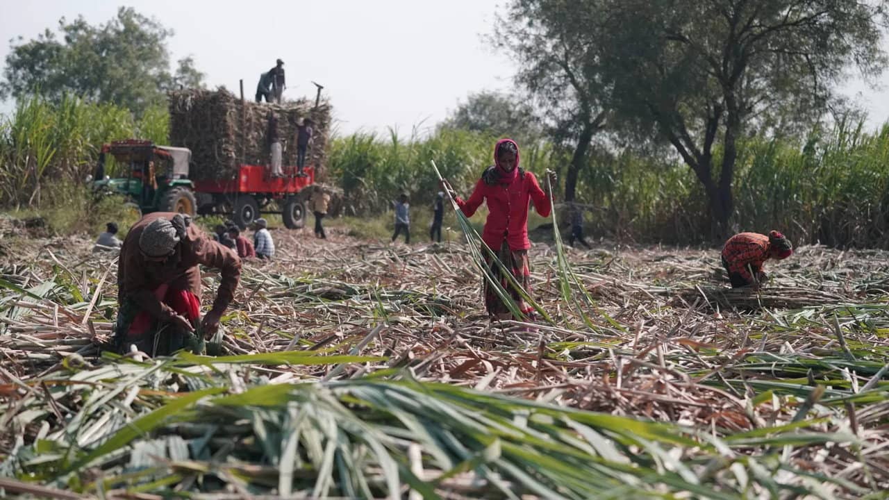 Inde : les villages sans utérus / RDC : le long chemin d’un salaire backdrop