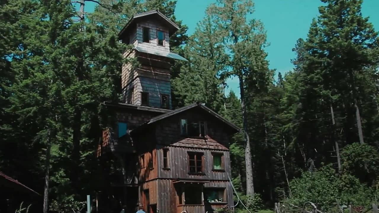 Life Off Grid backdrop