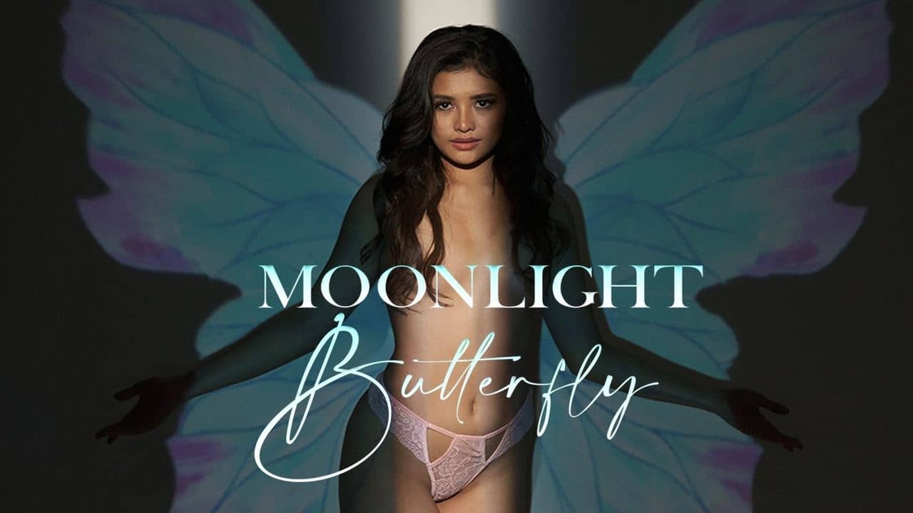 Moonlight Butterfly backdrop