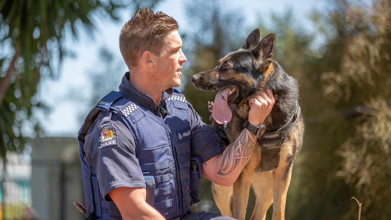Dog Squad backdrop