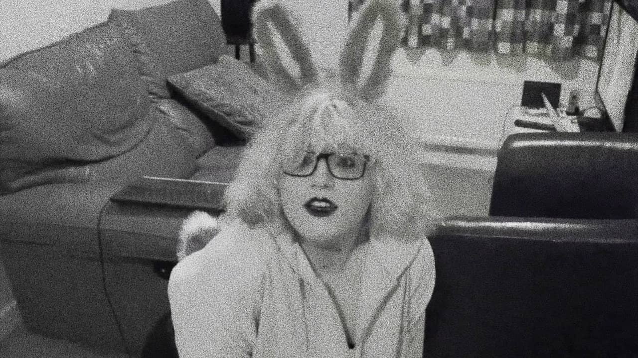 Pet Bunny backdrop