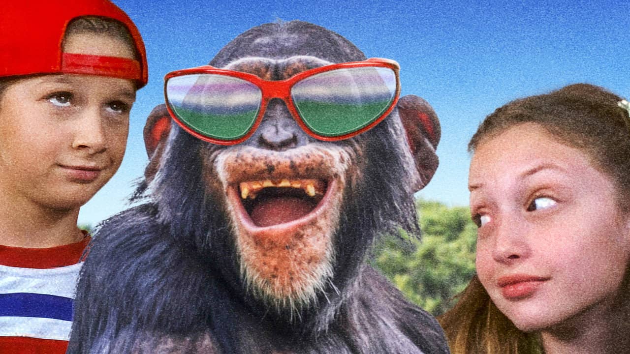 Monkey Business backdrop