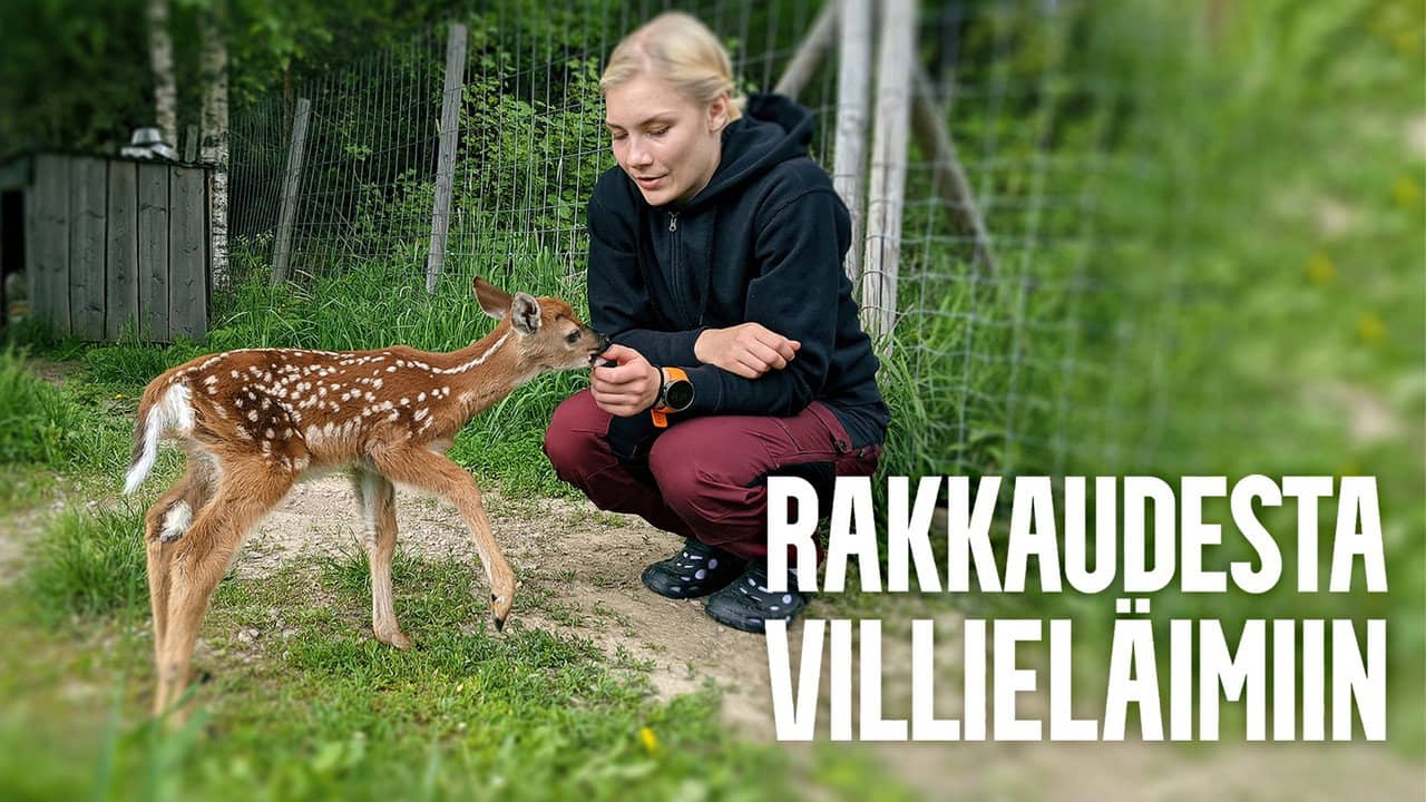 Rakkaudesta villieläimiin backdrop