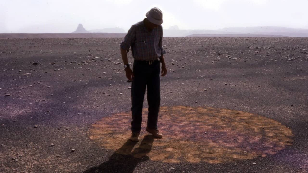 Stones and Flies: Richard Long in the Sahara backdrop