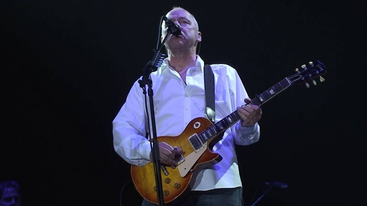 Mark Knopfler Live In Rotterdam backdrop