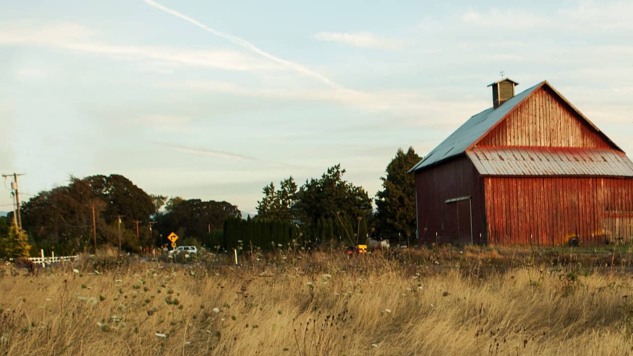 Farm Crime backdrop