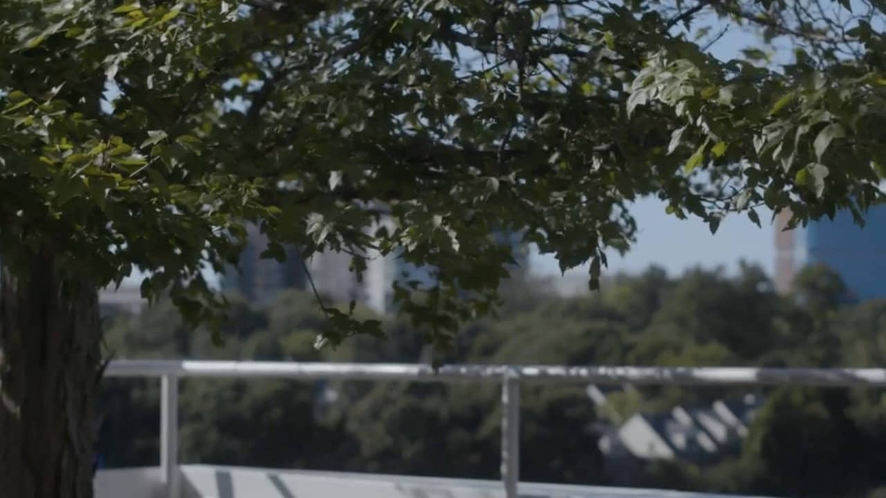 The City He Forgets backdrop