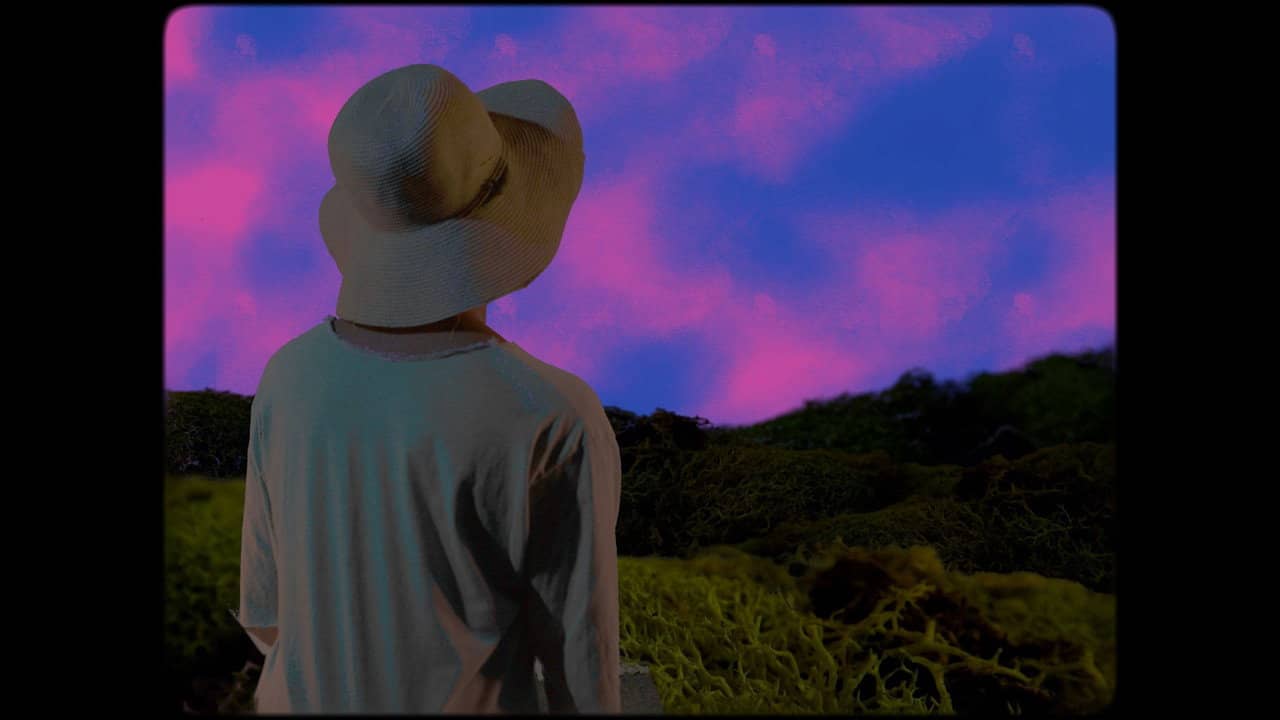 ScumWillie's Trail backdrop