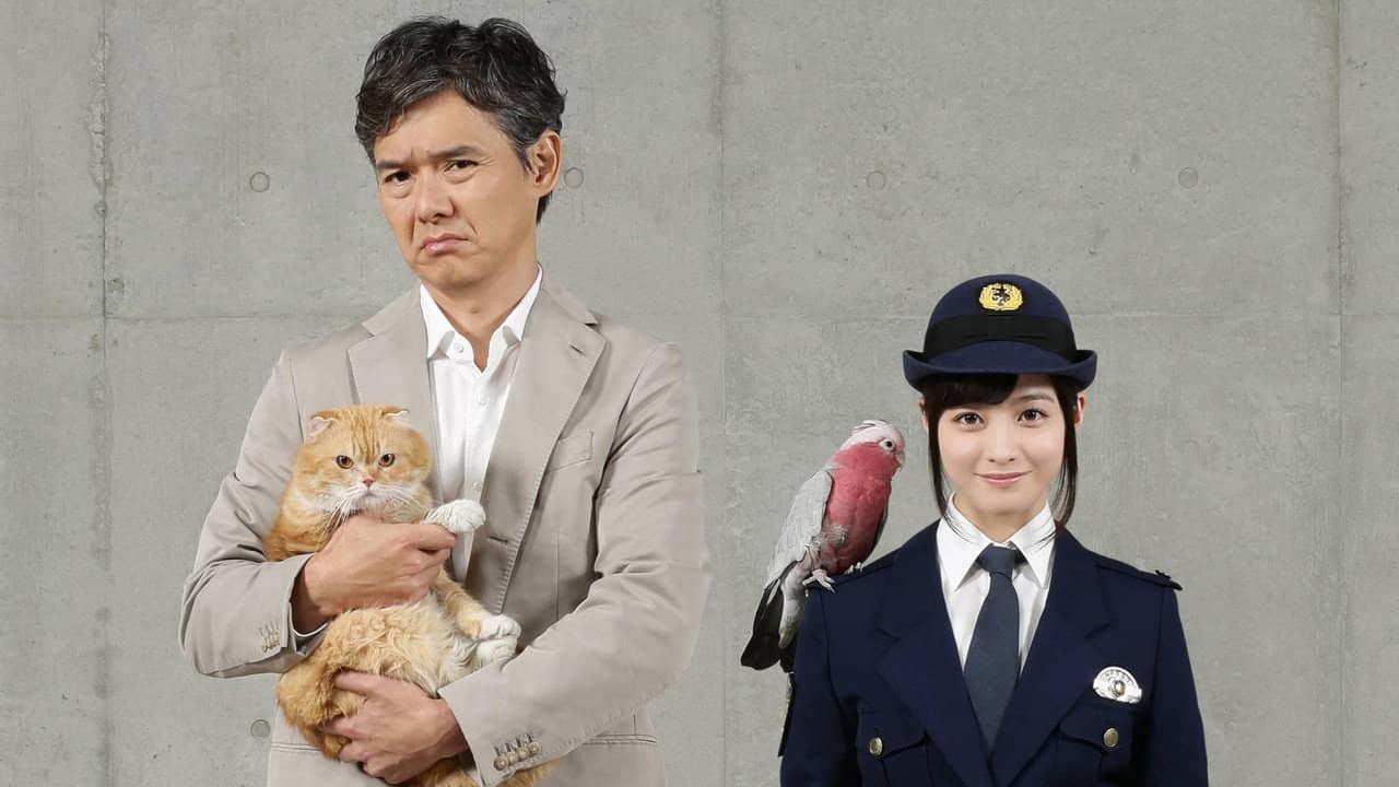 MPD: Animal Unit backdrop