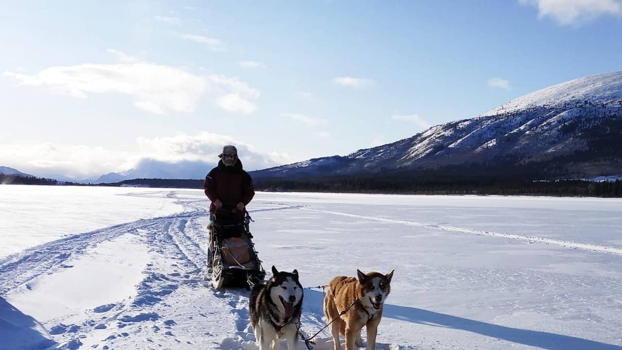 The Call of the Far North backdrop