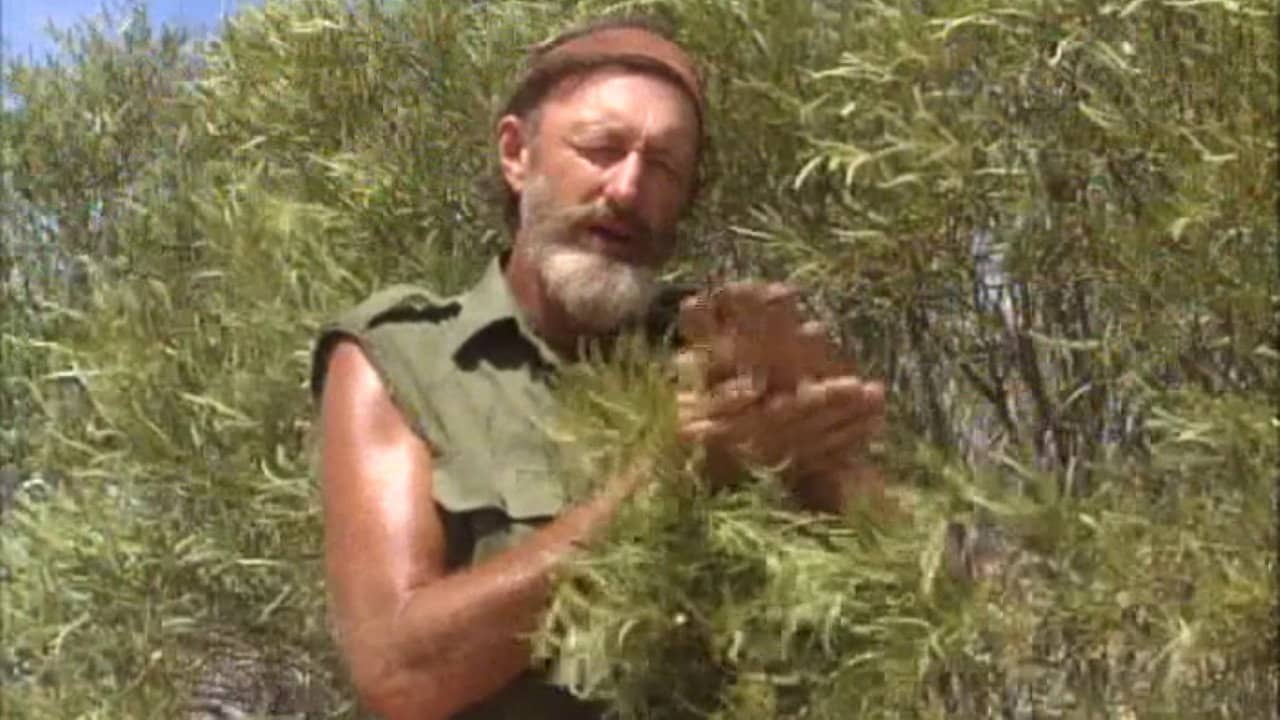 Survival In The Outback backdrop
