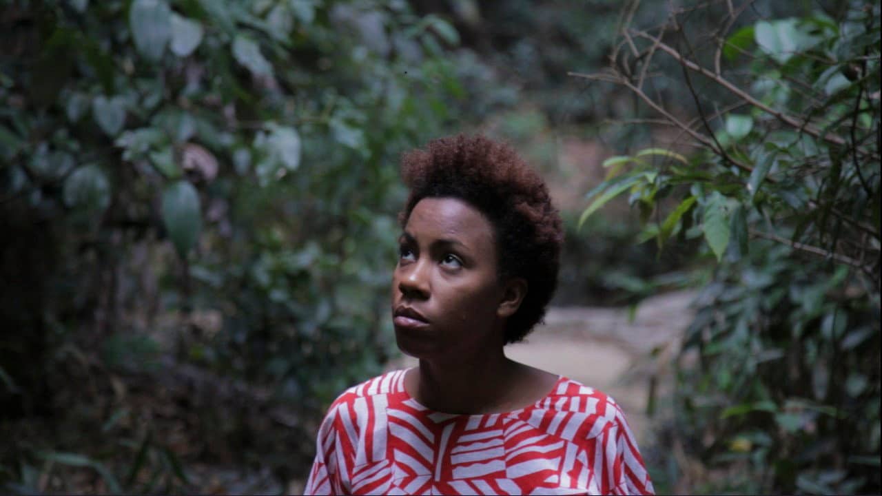 Eleguá backdrop