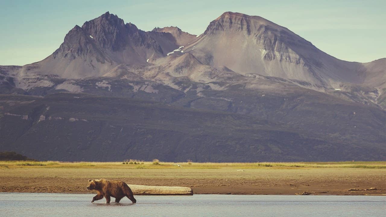 Into Alaska backdrop