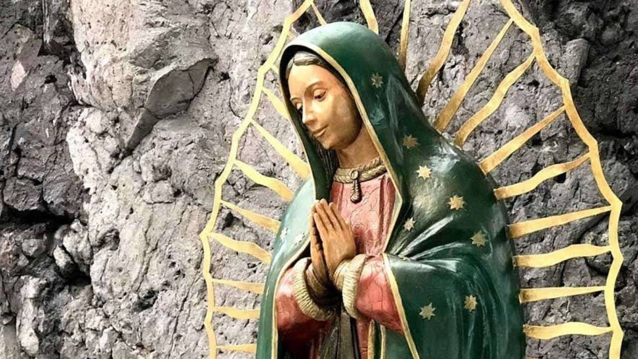 Lady of Guadalupe backdrop