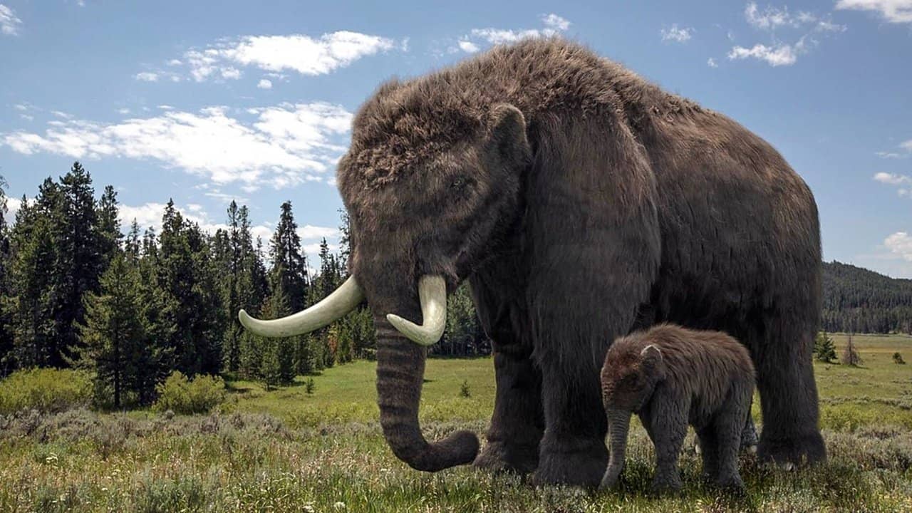 Ice Age Giants backdrop