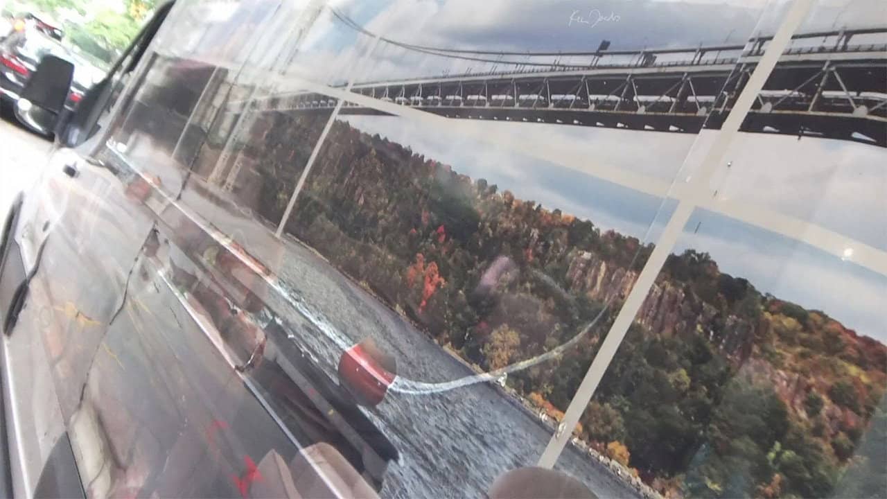 Foliage in Moving Car Window backdrop