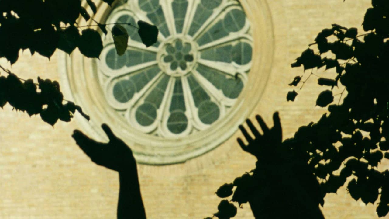 The Sparrow Dream backdrop