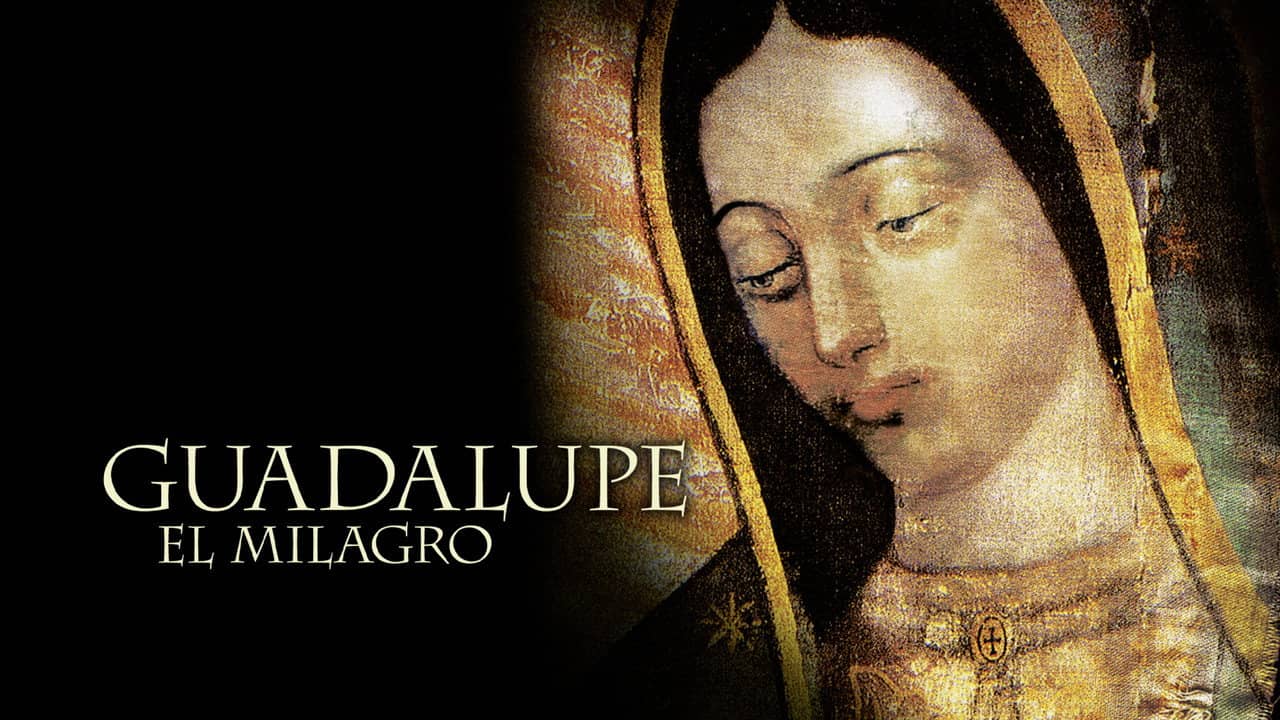 Guadalupe backdrop