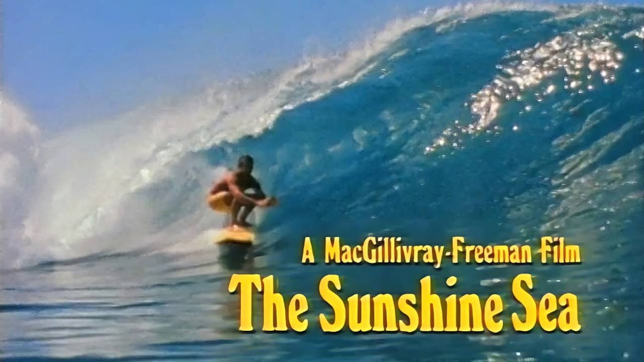 The Sunshine Sea backdrop