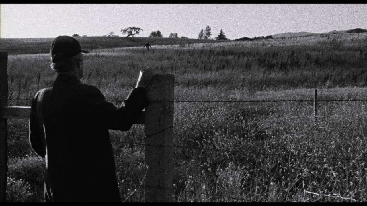 Faith of Our Fathers, a film by Hamilton Sterling backdrop