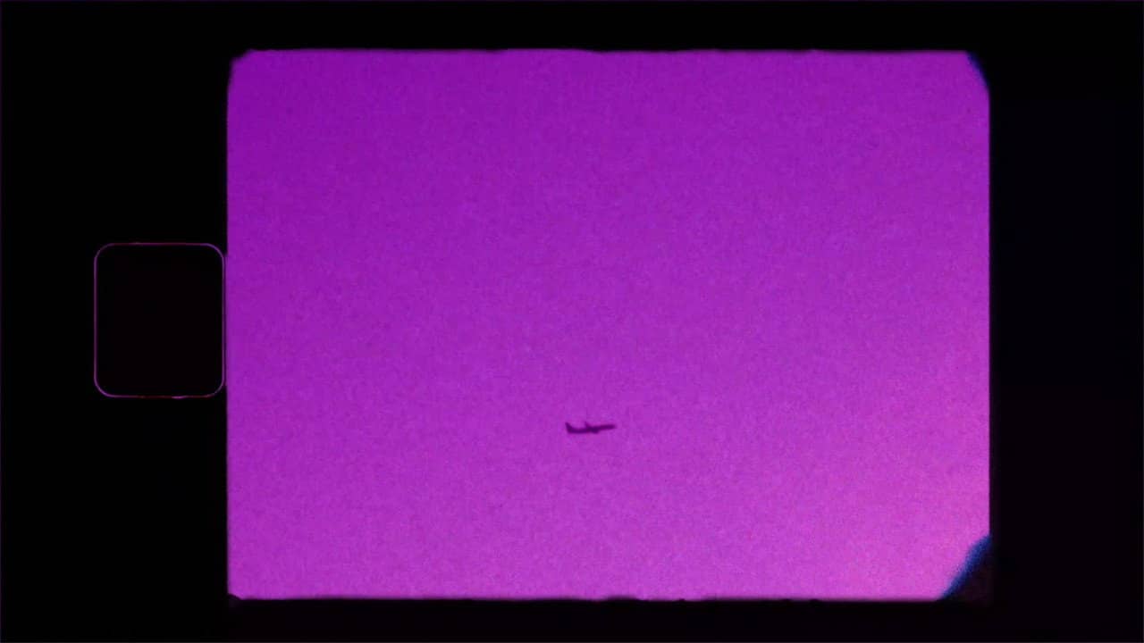 Shoegazer's Brown Eye Reverie backdrop