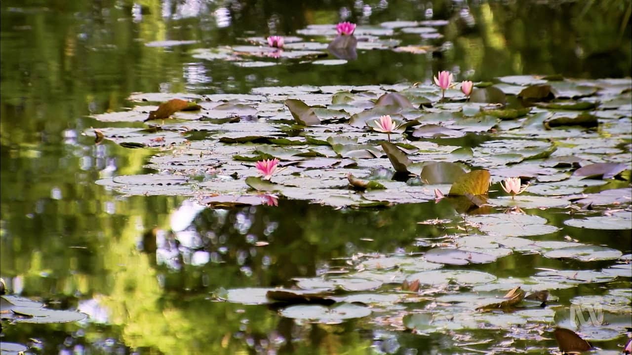 Monty Don's French Gardens backdrop