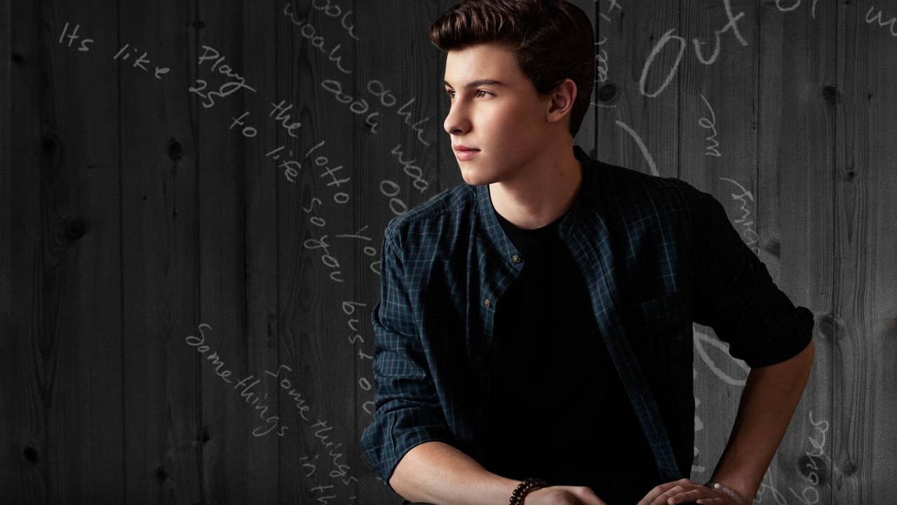 Shawn Mendes: Live at the Greek Theatre backdrop