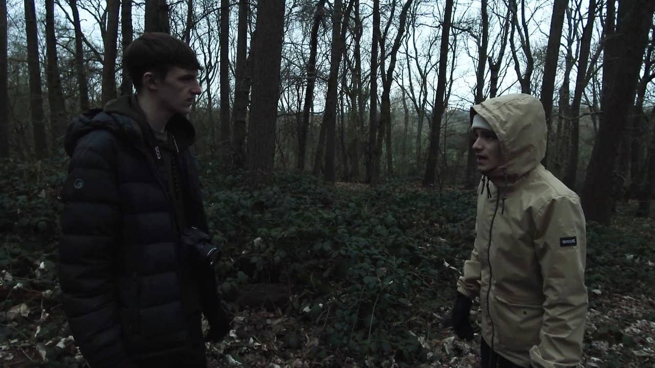 The Woods That Wail backdrop