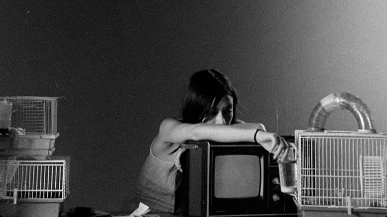 Letters to Paul Morrissey backdrop