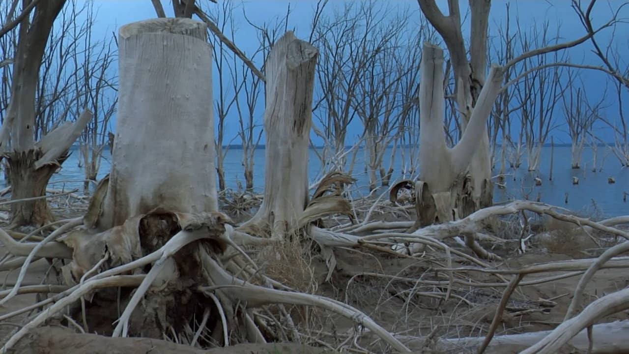 Como pez en el aire backdrop