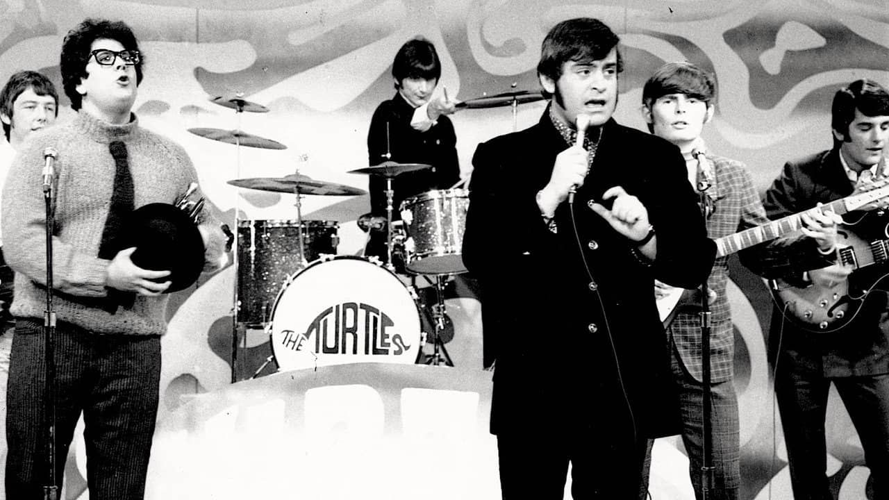 The Turtles: Happy Together backdrop