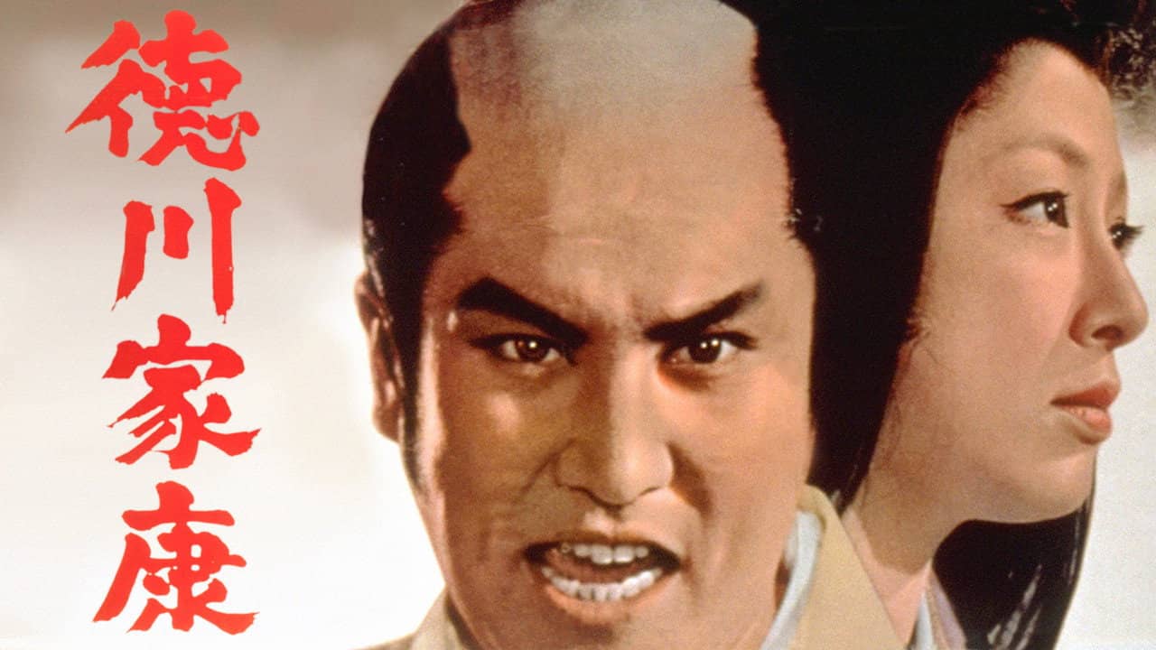 Lord Tokugawa Ieyasu backdrop