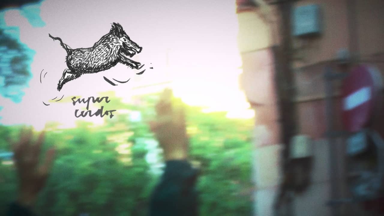 SUPERPIGS backdrop